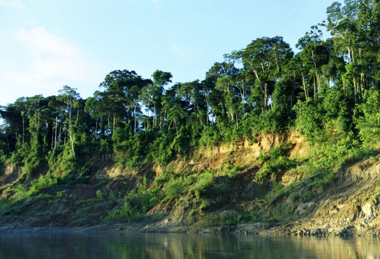 Eindrücke · Manú-Nationalpark