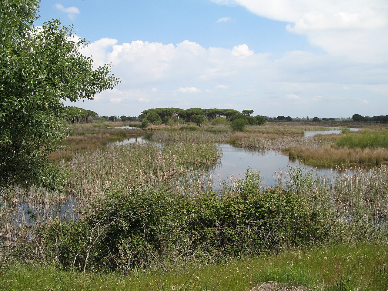 Eindrücke · Nationalpark Doñana