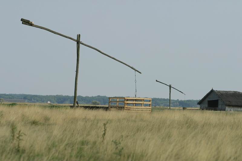 Eindrücke · Nationalpark Hortobágy