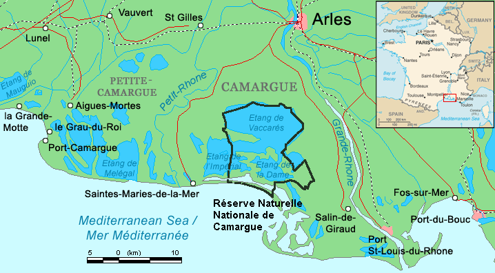 Eindrücke · Regionaler Naturpark Camargue