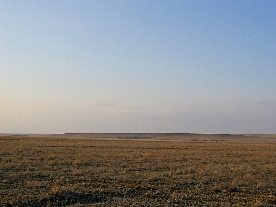 Bildergalerie · Saiga
