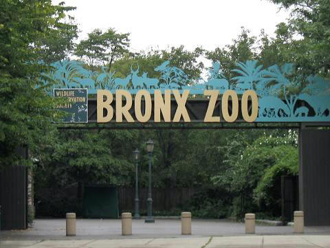 Einblicke · Bronx Zoo