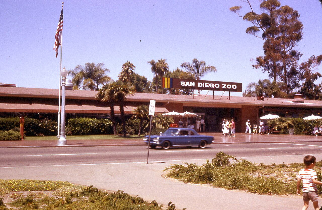 Einblicke · San Diego Zoo