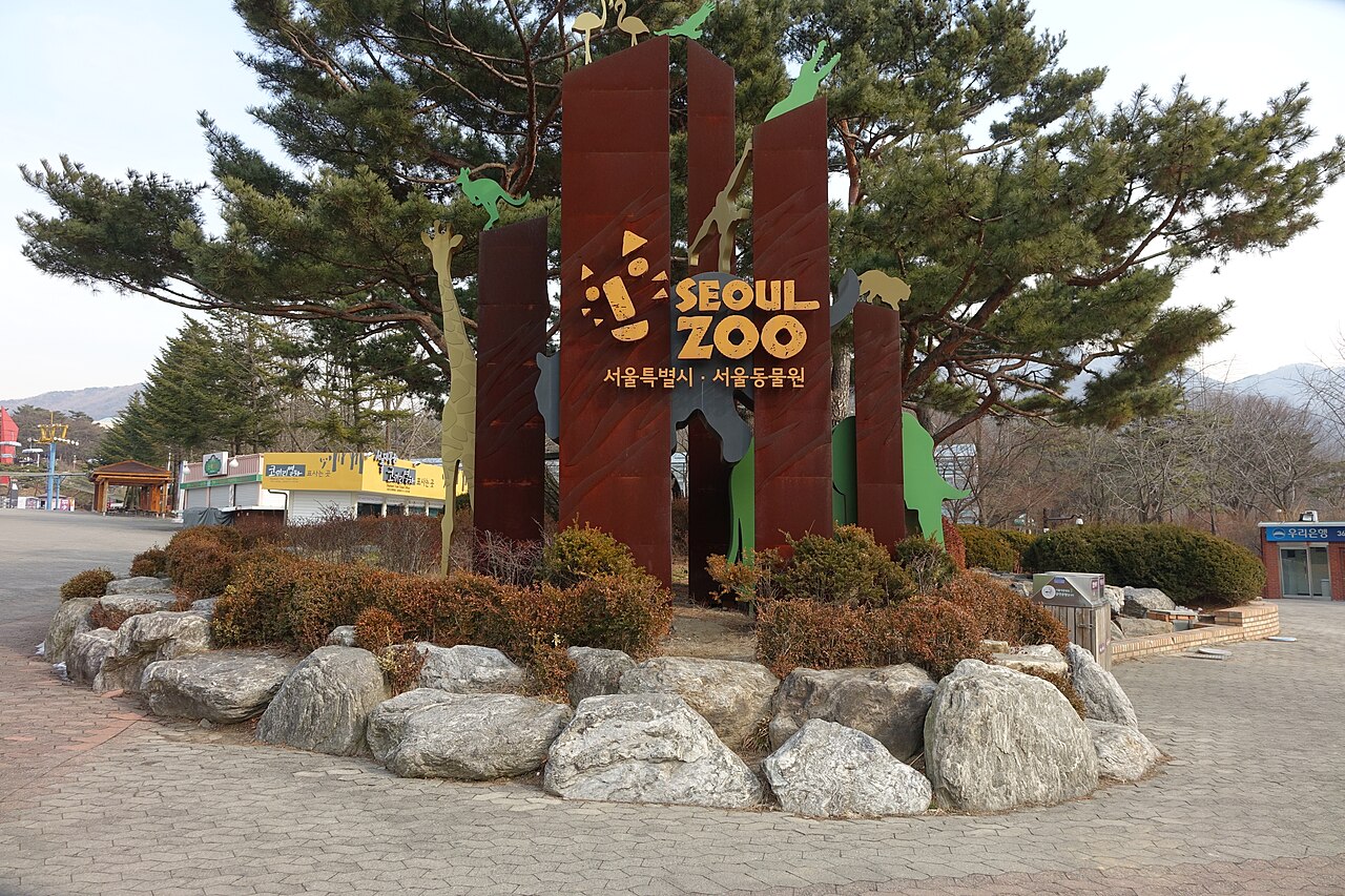 Einblicke · Seoul Grand Park Zoo