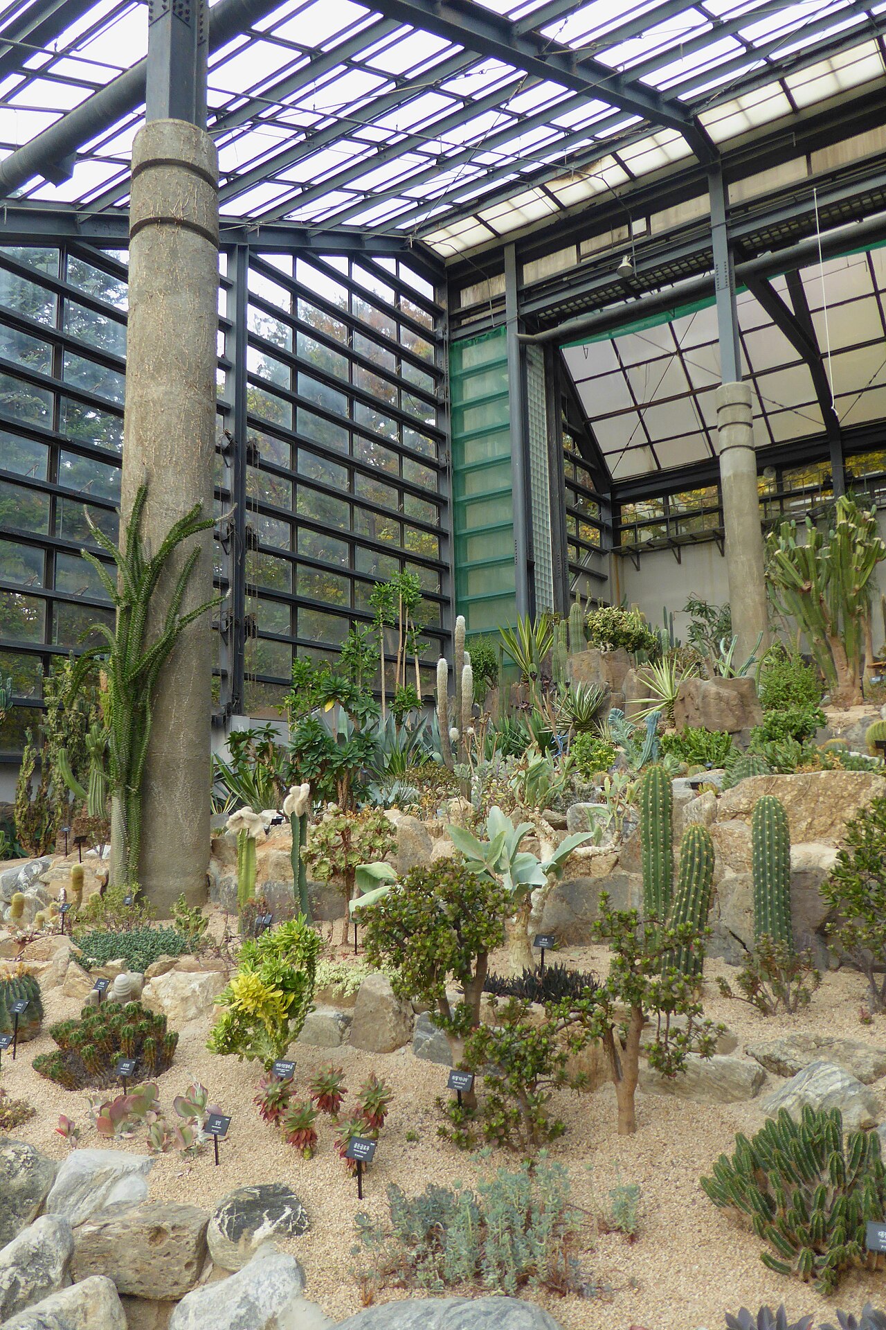 Einblicke · Seoul Grand Park Zoo