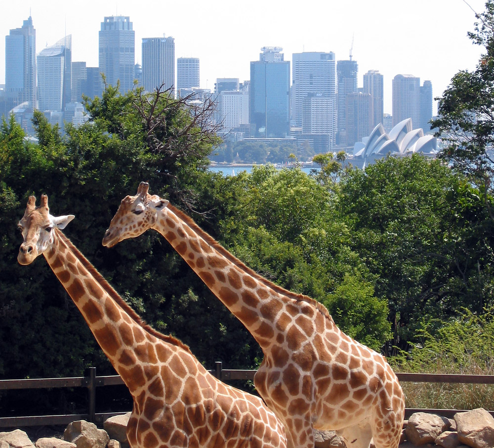 Einblicke · Taronga Zoo