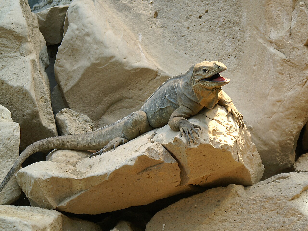 Einblicke · Tierpark Bern