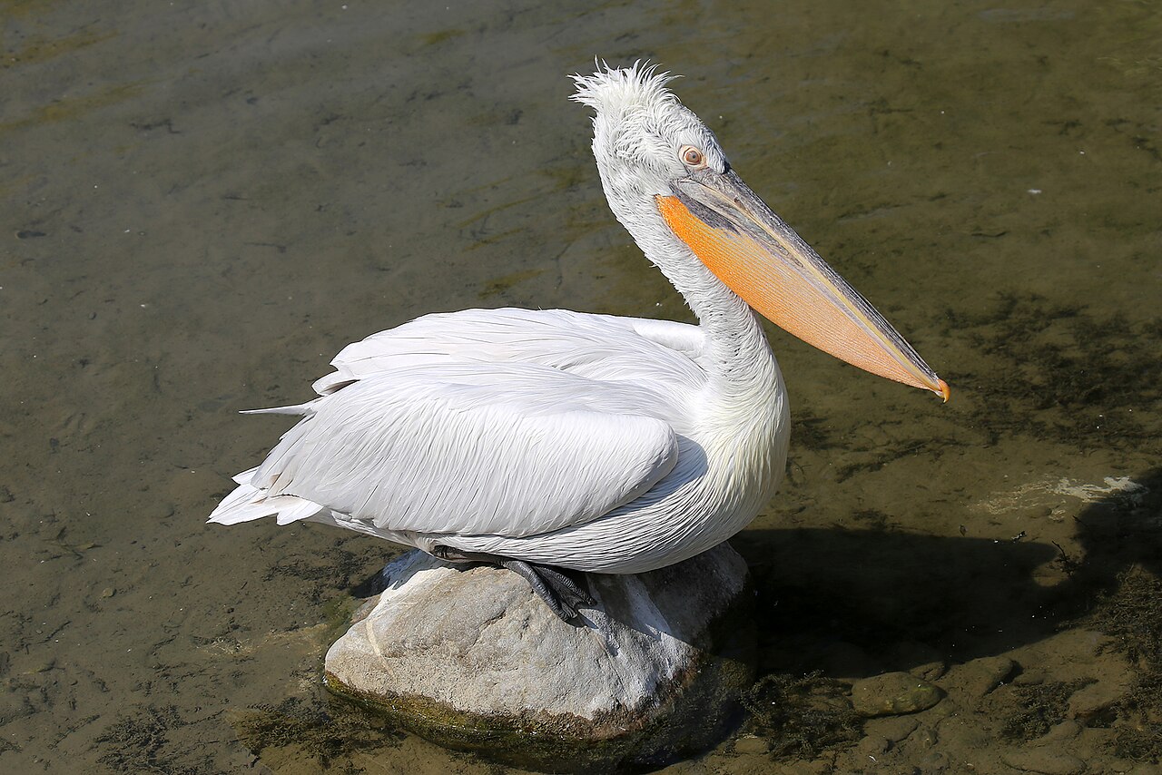 Einblicke · Tierpark Bern