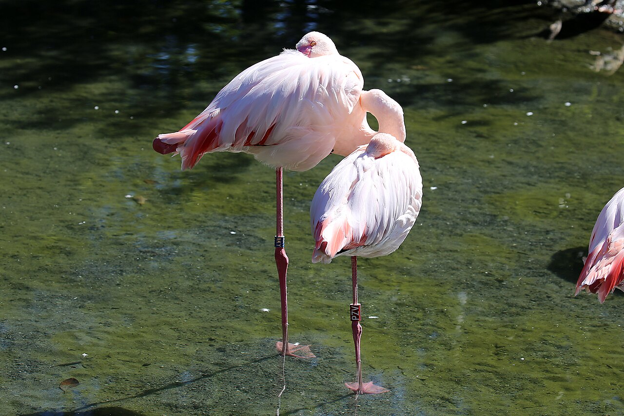 Einblicke · Tierpark Bern