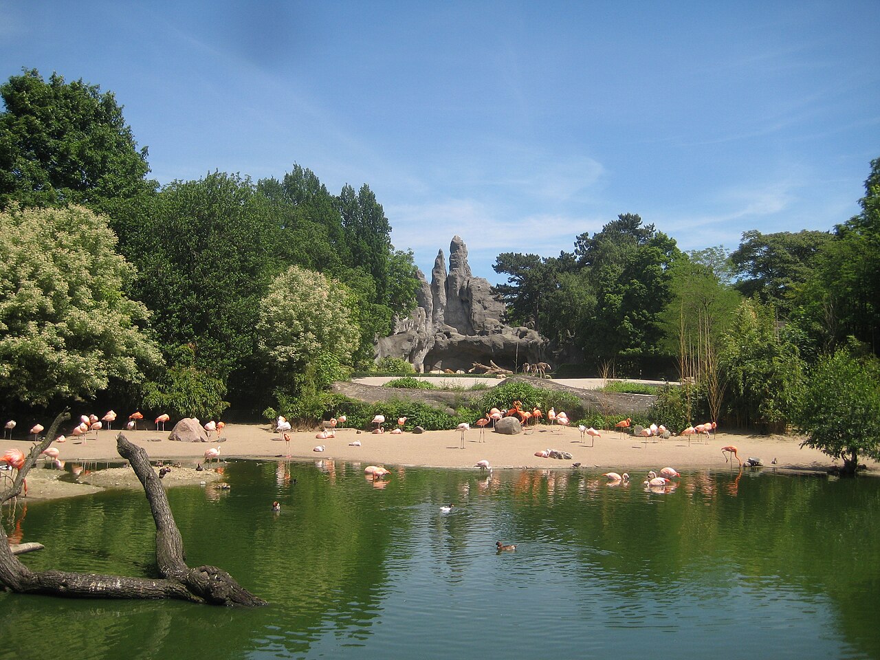 Einblicke · Tierpark Hagenbeck