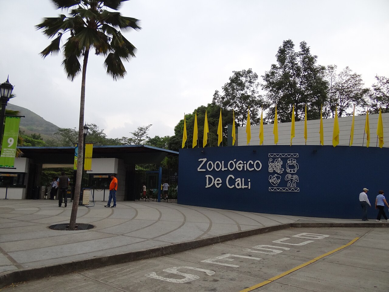 Einblicke · Zoológico de Cali
