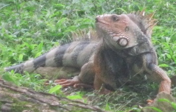 Einblicke · Zoológico de Cali